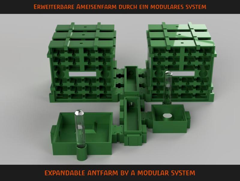 Little Formicarium - Awesome Ant Nests & Arena