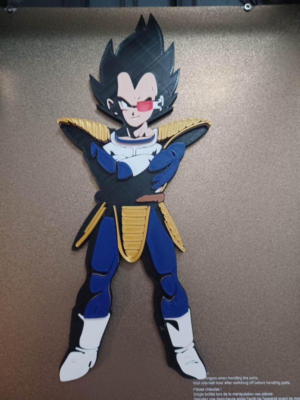 Dragon Ball Z - Vegeta Colorized Wall Art