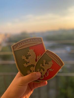 Patch 24th Mechanized Brigade "Milites Regum"