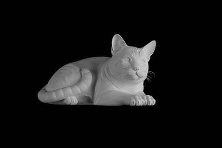 cat print model lying down relaxed pose