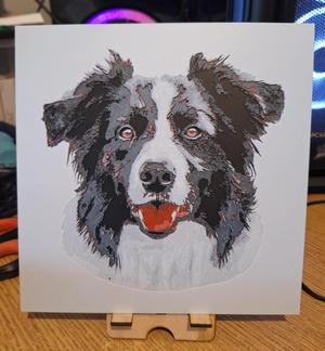 Border collie Hueforge 20x20 - 4 colours