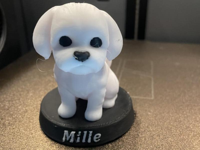 malteser hunden mille