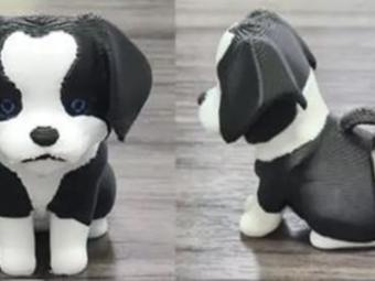 Puppy Australian Shepherd Sitting Down (2 Models) 