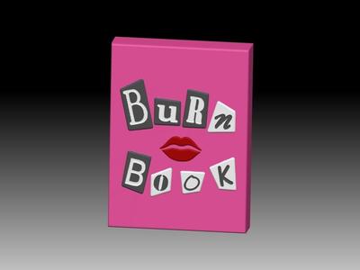 BURN BOOK SOLID SHAMPOO AND MOLD FOR SOAP PUMP