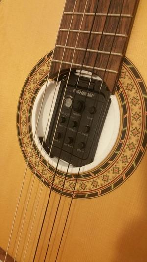 Sound Hole Preamp Mount for Fishman 301 presys in Camps M1S guitar