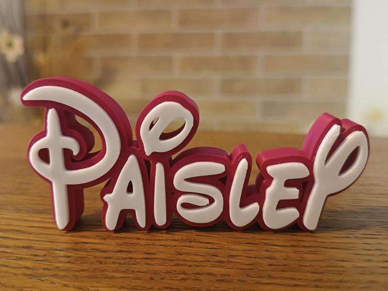 Paisley Disney Name Sign Decor Room child Birthday
