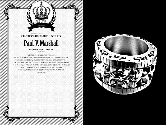 [ 2017 PAULTINI ] : Ring : iterative