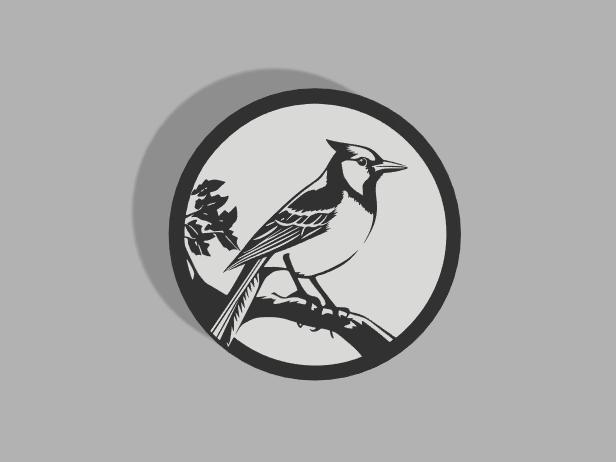 Bird on Branch Coaster