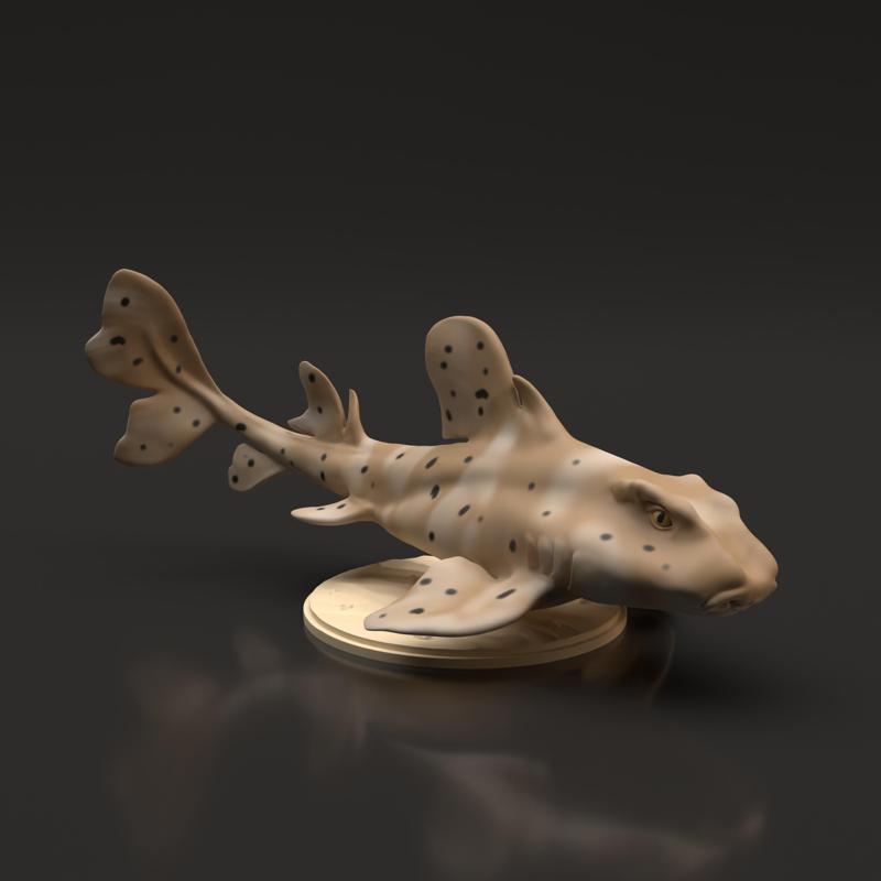 Horn Shark