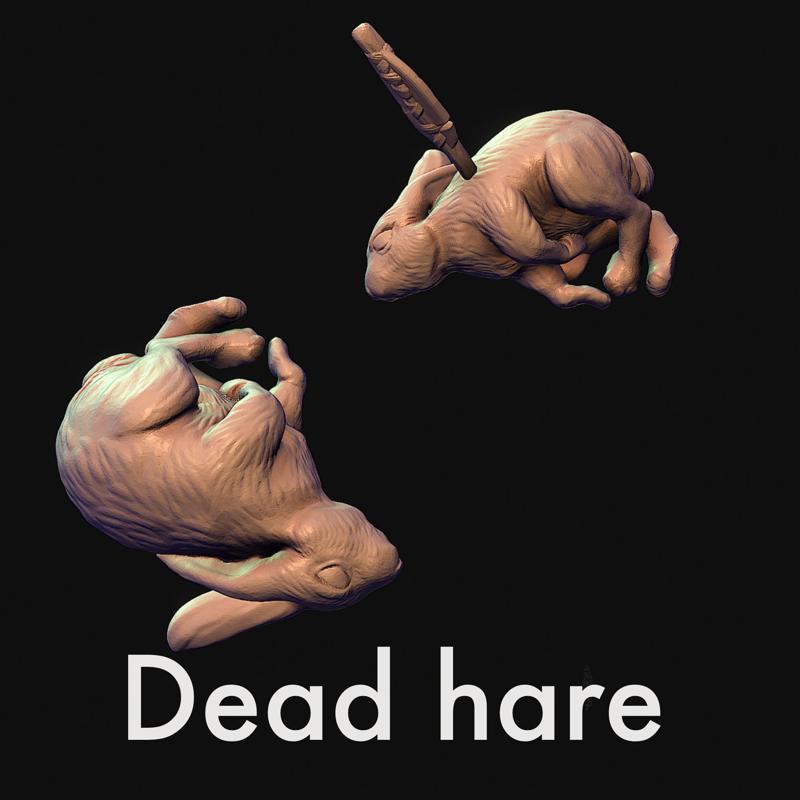 Hunted hare or rabbit