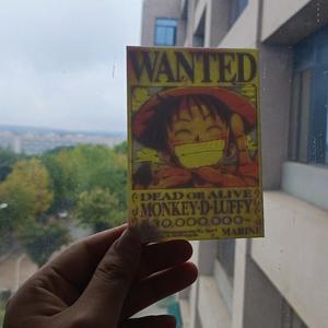 Luffy's bounty One Piece Luffy Wanted Poster Colorful Relief Photo