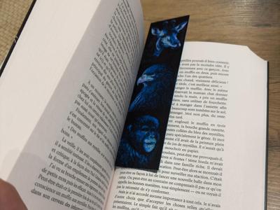 Blue SAVANA Bookmark