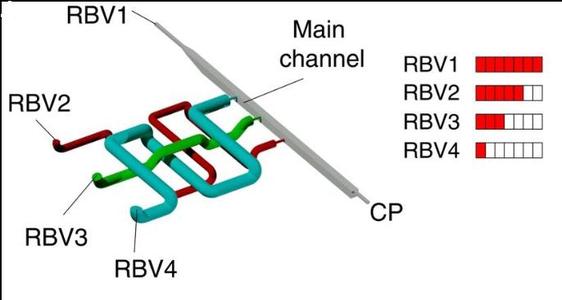 Monolithic  3D  printed  microfluidic chip  with  embedded  conduits  with  circular  cross-sections