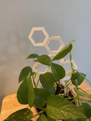 Modular Plant Trellis