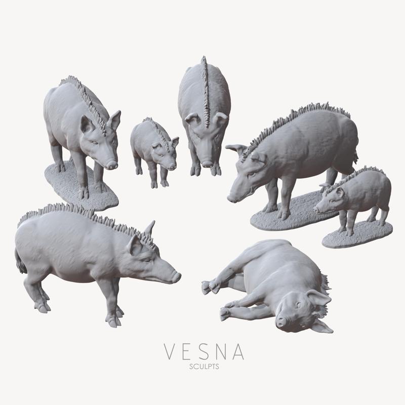 MEDIEVAL PIGS PACK