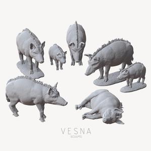 MEDIEVAL PIGS PACK