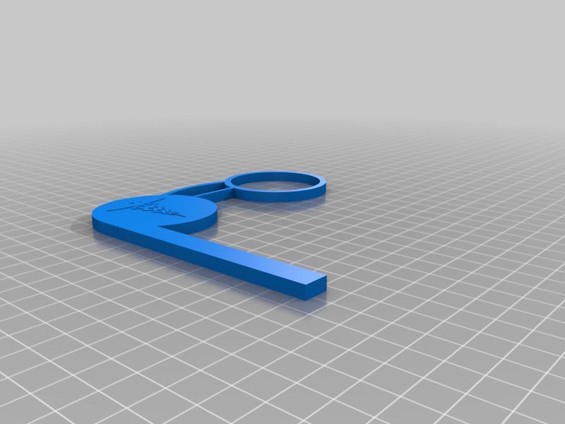 Eye covering googles