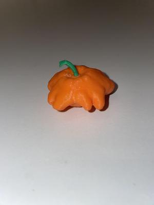 Spider Pumpkin