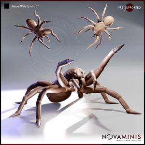 Giant Wolf Spider 01