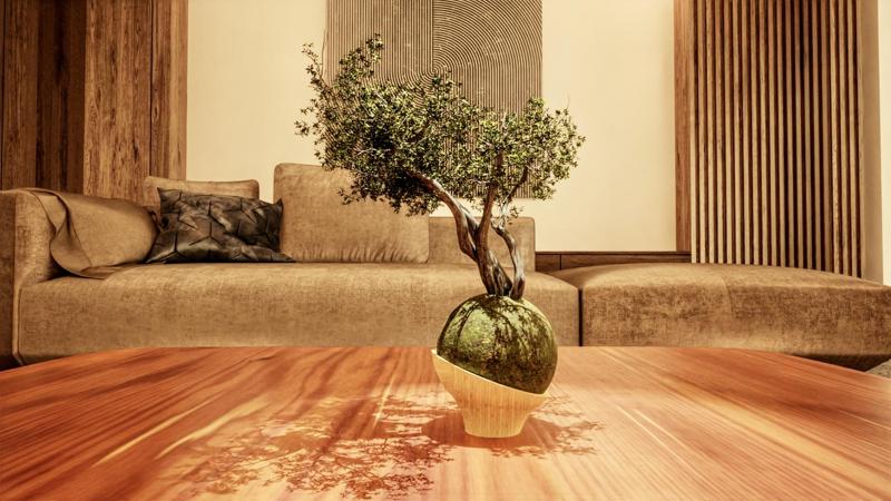 Bonsai Circular Planter