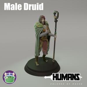 HUman Male Druid