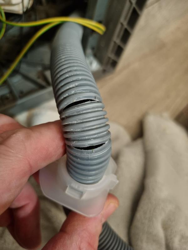 Dishwasher wastewater hose coupler