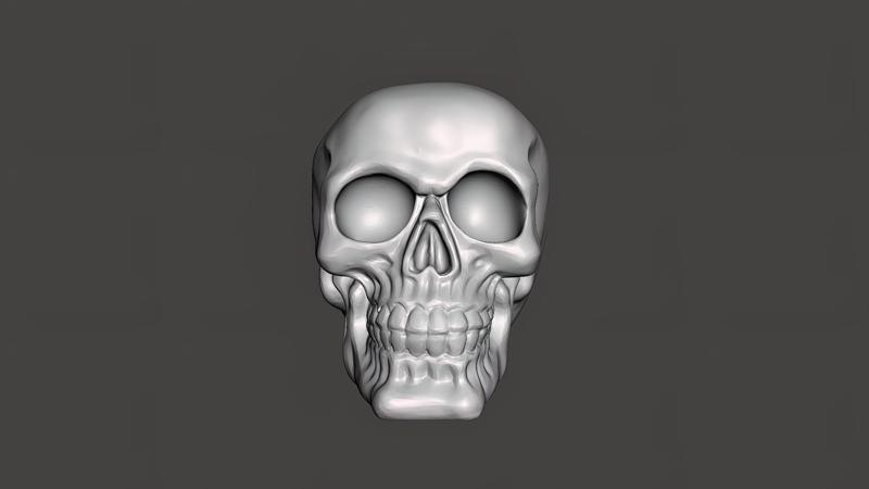 Human Skull