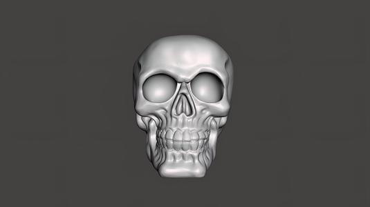 Human Skull