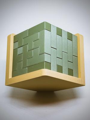 Brain Teaser 54 pcs puzzle