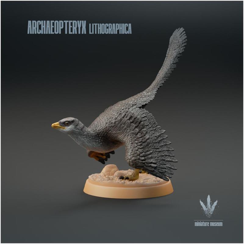 Archaeopteryx lithographica : Display