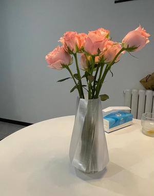 Modern Minimalist Vase
