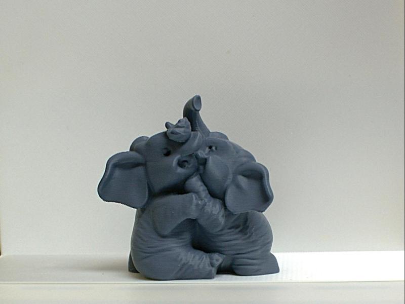 Two Elephants