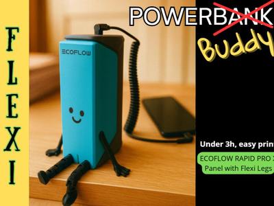 PowerBuddy ECOFLOW Rapid Pro X back panel