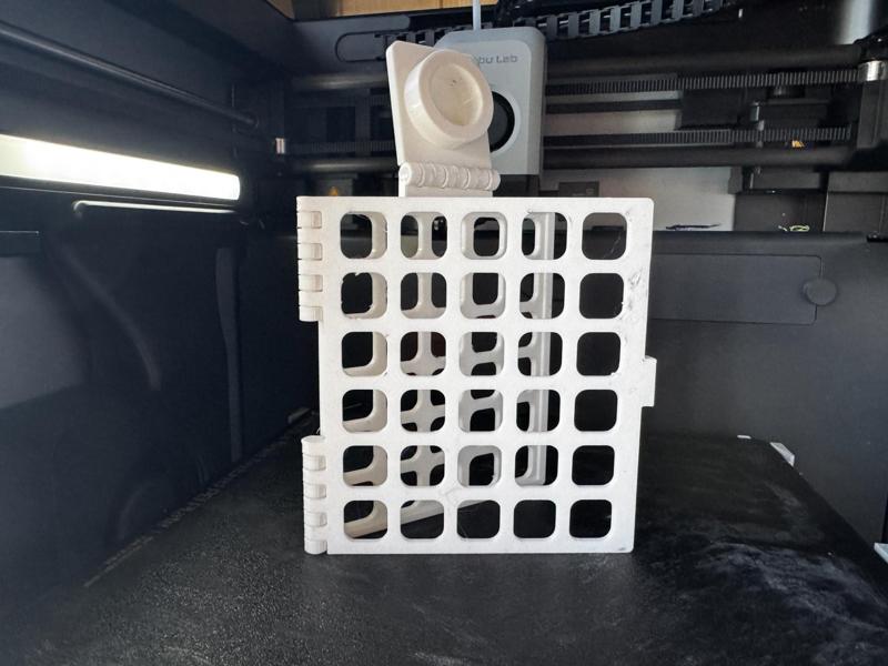 Algae holder for fish tanks