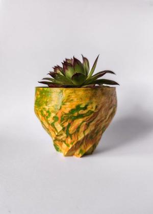 algaepots
