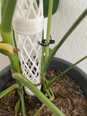 Reusable Ziptie