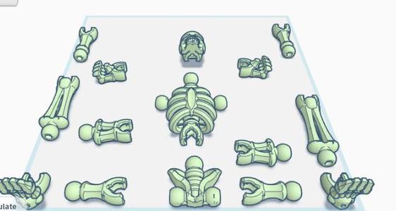 skeleton and dino