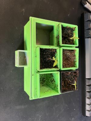 Self watering planter base