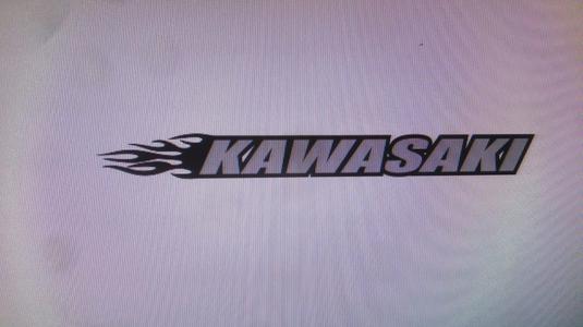 insignia custom de la marca kawasaki
