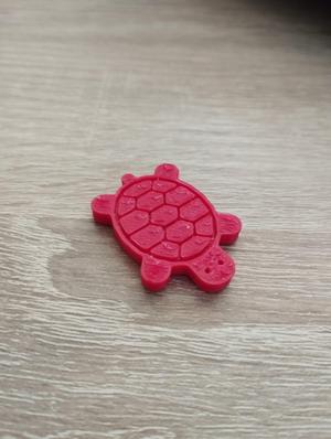 Tiny Flat Turtle
