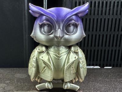 Owl in Leather Jacket