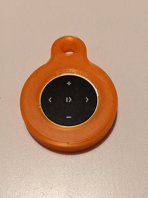 case for Bluetooth remote controller