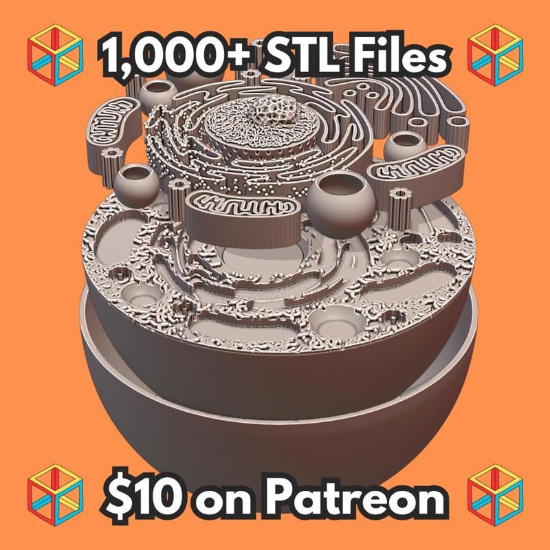 Animal Cell Educational Model with Removable Organelles MineeForm FDM 3D Print STL File