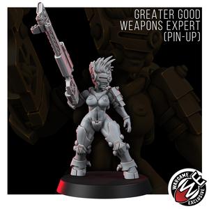 GREATER GOOD WEAPONS EXPERT (PIN-UP)