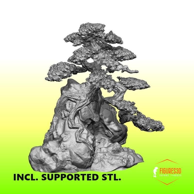 japanese garden tree 3