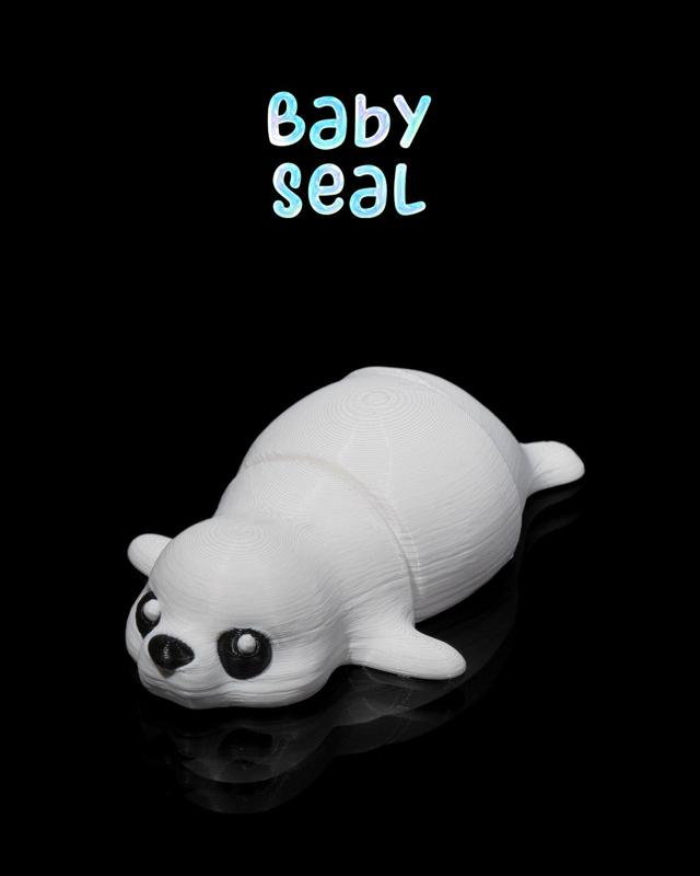 Baby Seal 