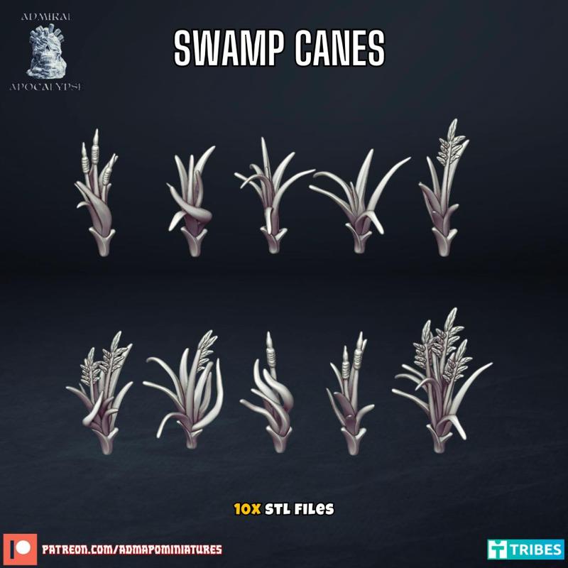 Swamp Cane Plants (Pre-supported)