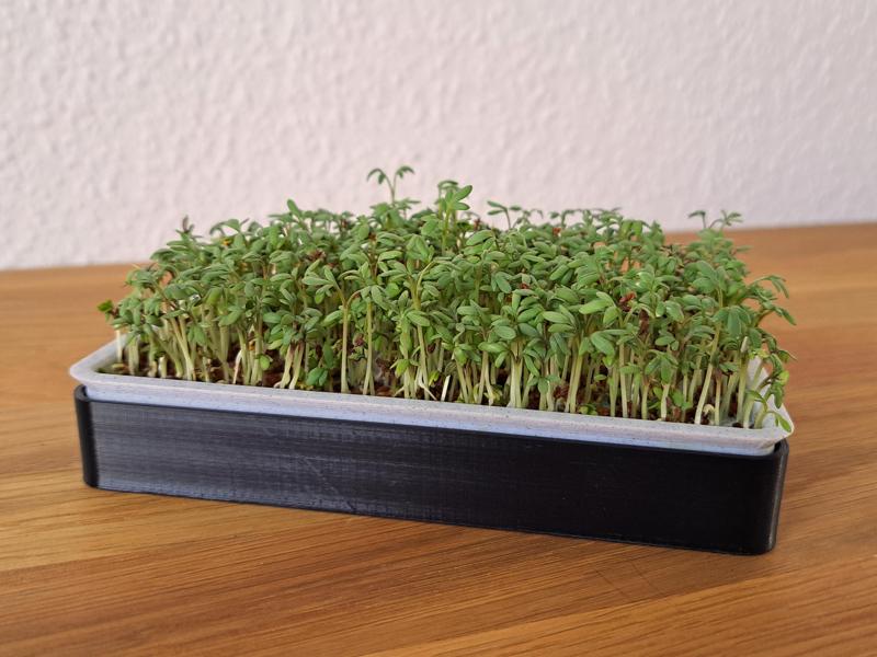 Cress Planter