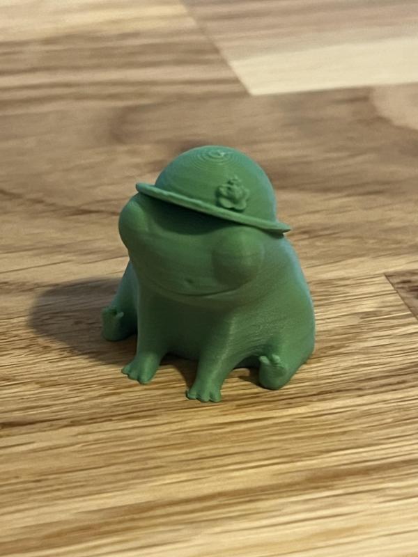 Fred the Frog but with a Sun Hat