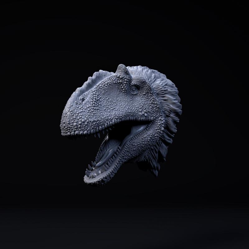 Yutyrannus Huali mount-head